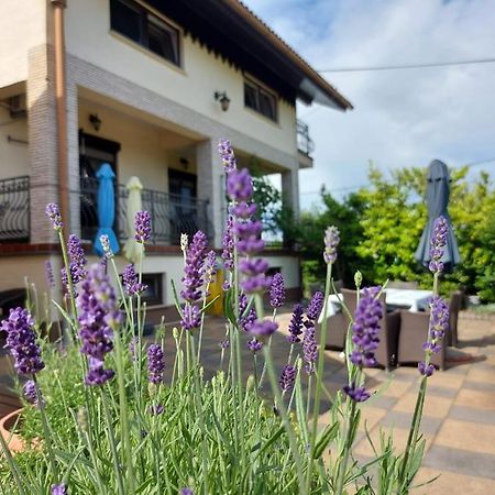 Apartman Nada Ozalj Exterior foto