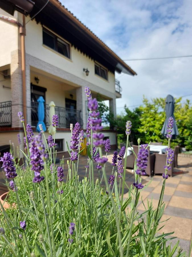 Apartman Nada Ozalj Exterior foto